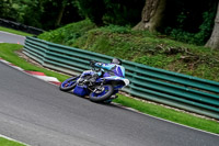 cadwell-no-limits-trackday;cadwell-park;cadwell-park-photographs;cadwell-trackday-photographs;enduro-digital-images;event-digital-images;eventdigitalimages;no-limits-trackdays;peter-wileman-photography;racing-digital-images;trackday-digital-images;trackday-photos